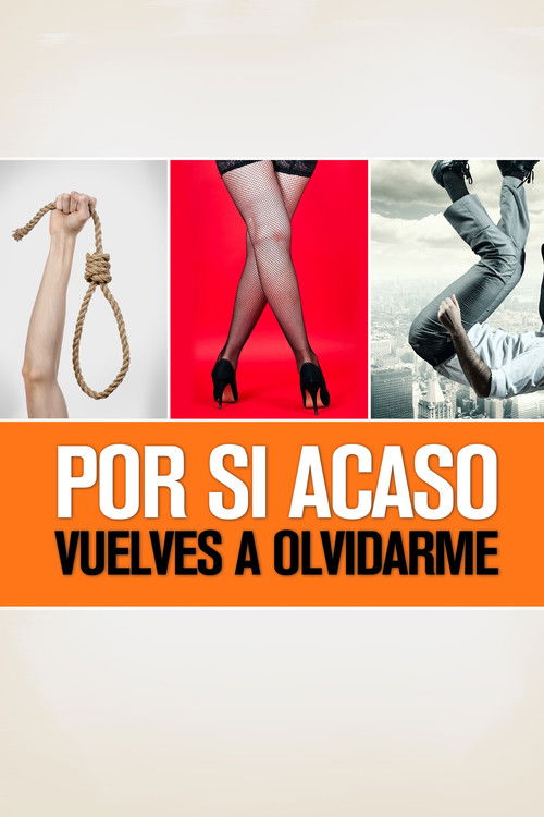 In Case You Forget About Me Again (2013) poster