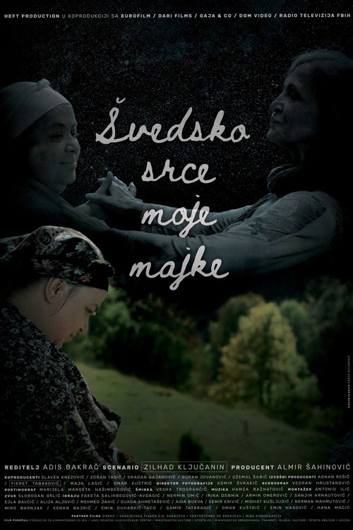 My Mother's Swedish Heart (2022) poster