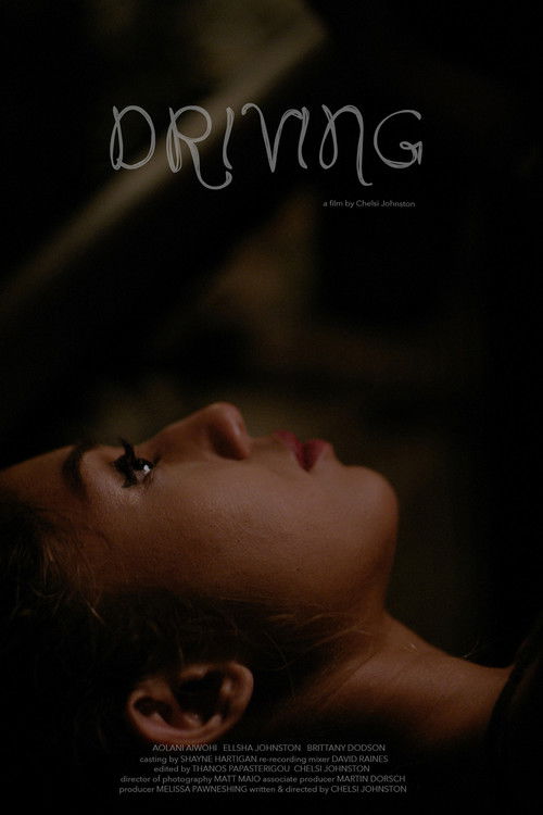 Driving (2019) poster