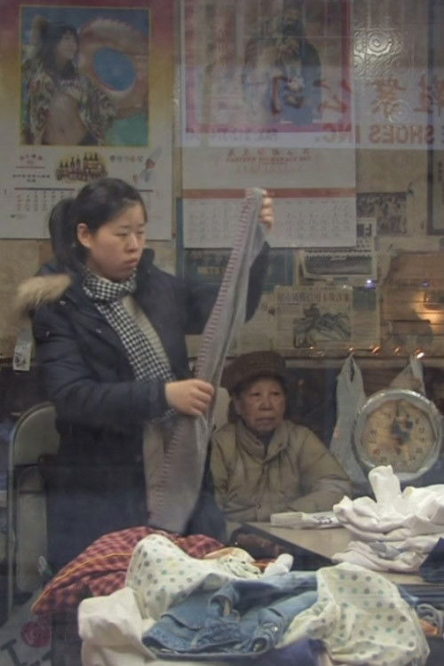 5 Lessons and 9 Questions about Chinatown (2009) poster