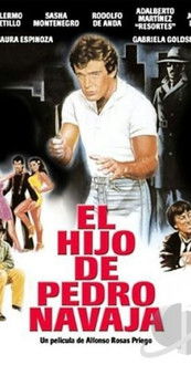 El hijo de Pedro Navaja (1986) poster