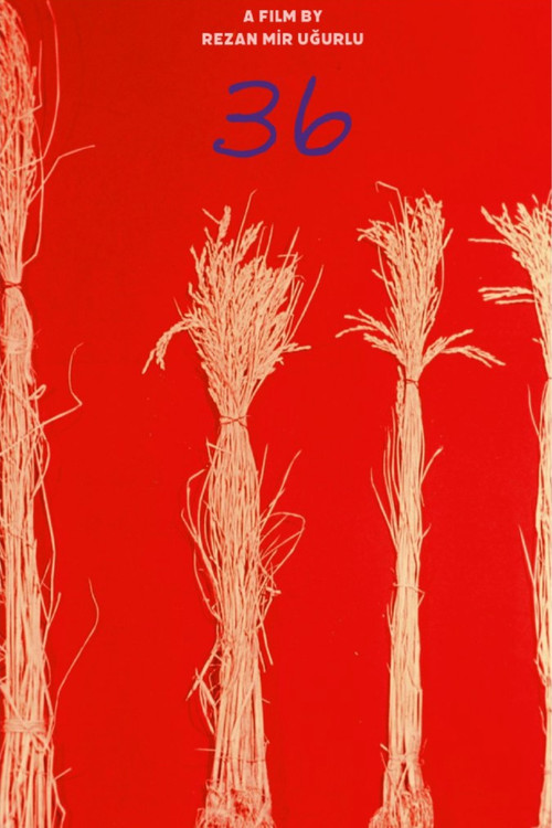 36 (2024) poster