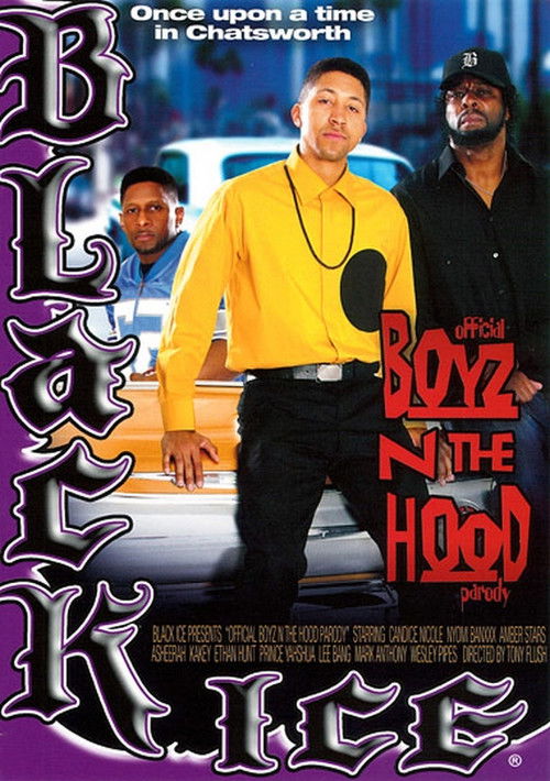 Official Boyz n the Hood Parody (2011) poster