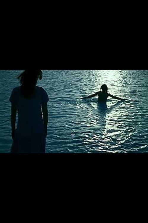 Sigur Ros - Sæglópur (2006) poster