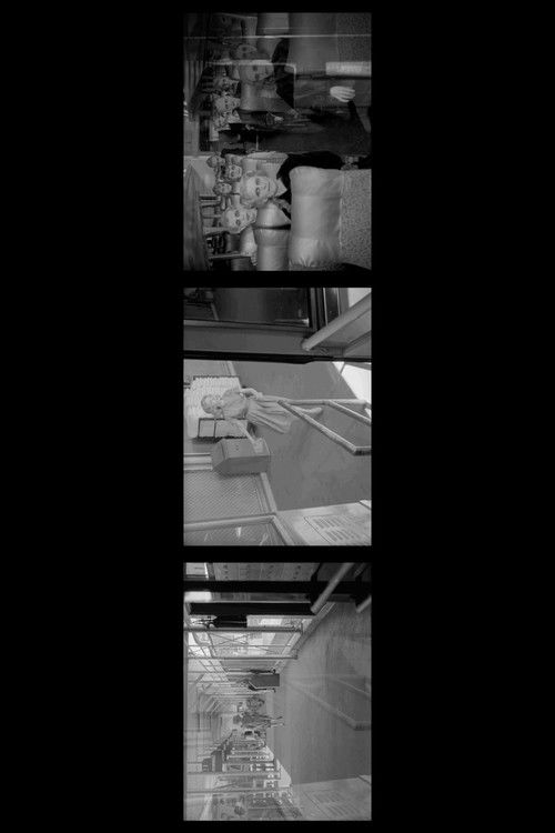 collage25 (2020) poster