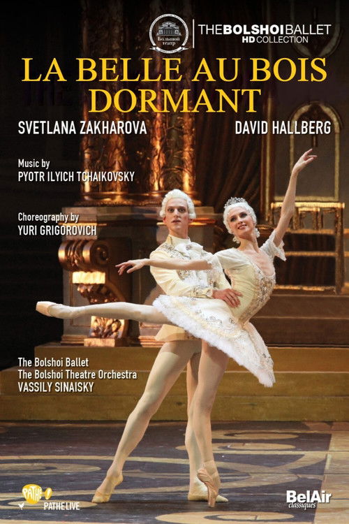Bolshoi Ballet: The Sleeping Beauty (2011) poster