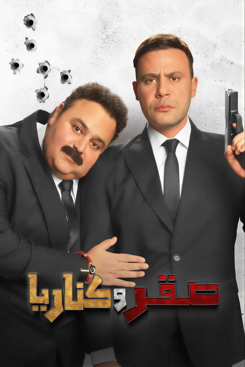 صقر وكناريا (2026) poster