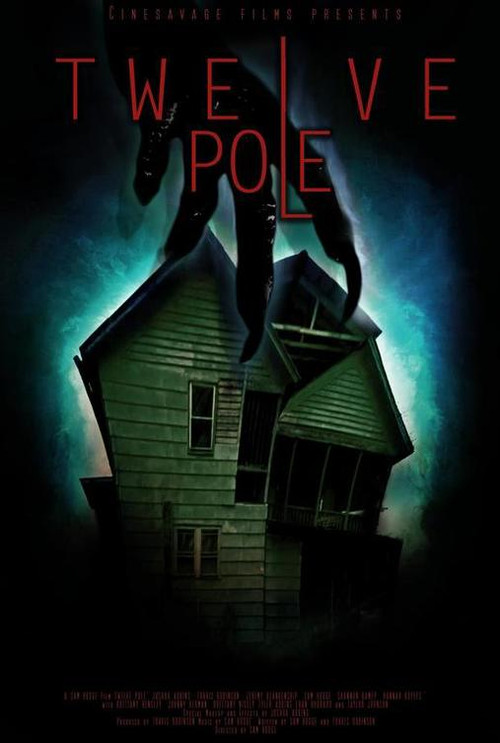 Twelve Pole (2017) poster