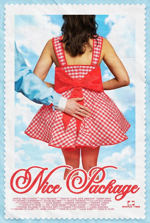 Nice Package (2025) poster