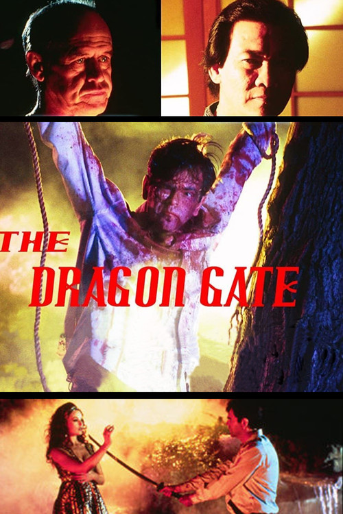 The Dragon Gate (1994) poster