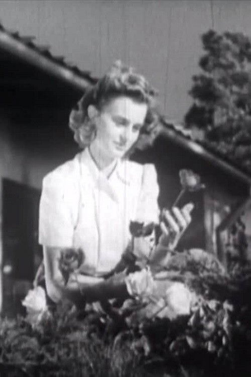 Stay a While! (1948) poster