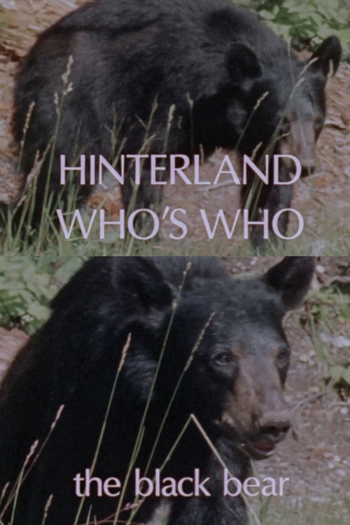 Hinterland Who's Who: Black Bear (1978) poster