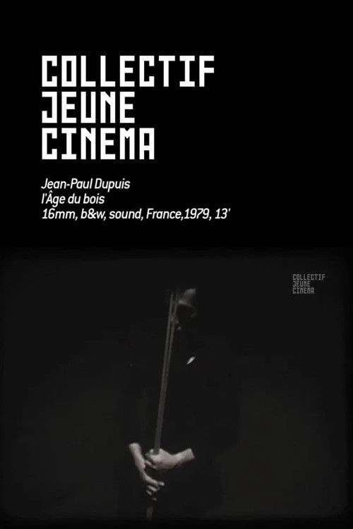 L'Age du bois (1979) poster