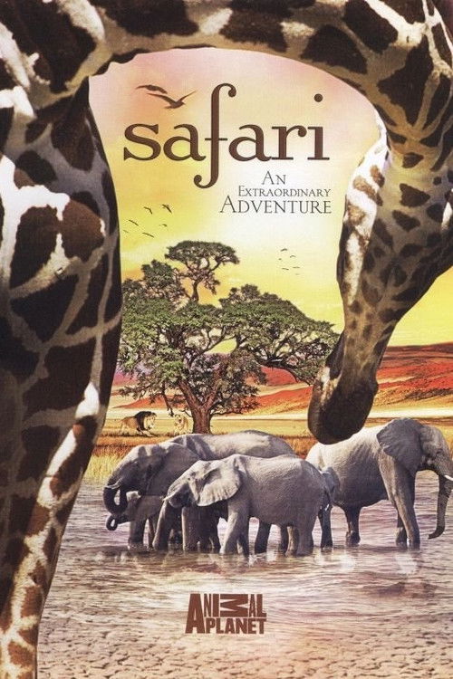 The Last Lion of Liuwa (2010) poster