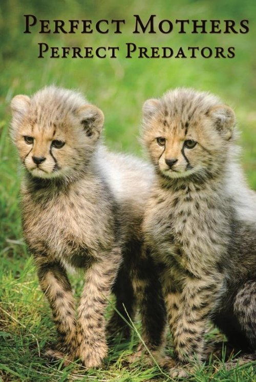 Perfect Mothers, Perfect Predators (1998) poster