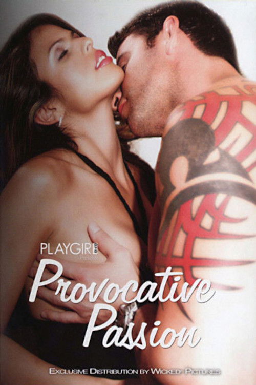 Playgirl: Provocative Passion (2008) poster