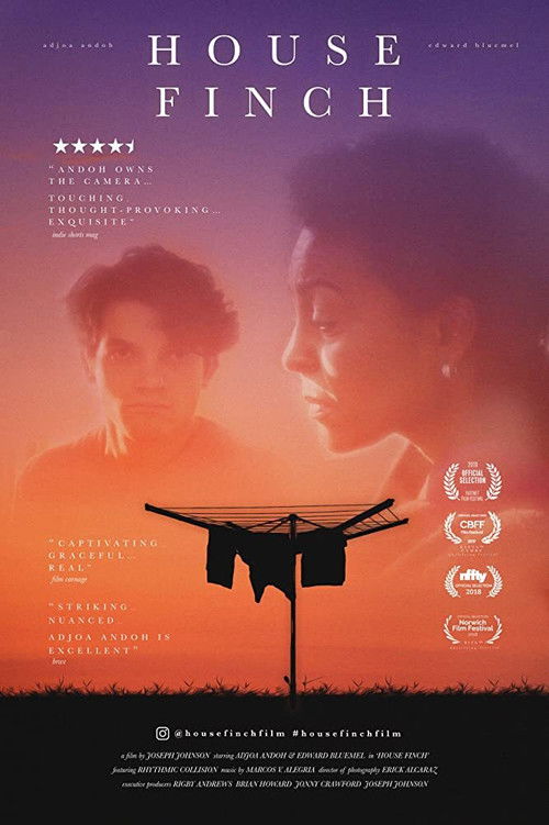 House Finch (2021) poster