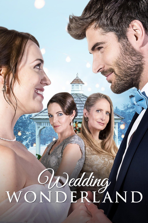 A Wedding Wonderland (2017) poster