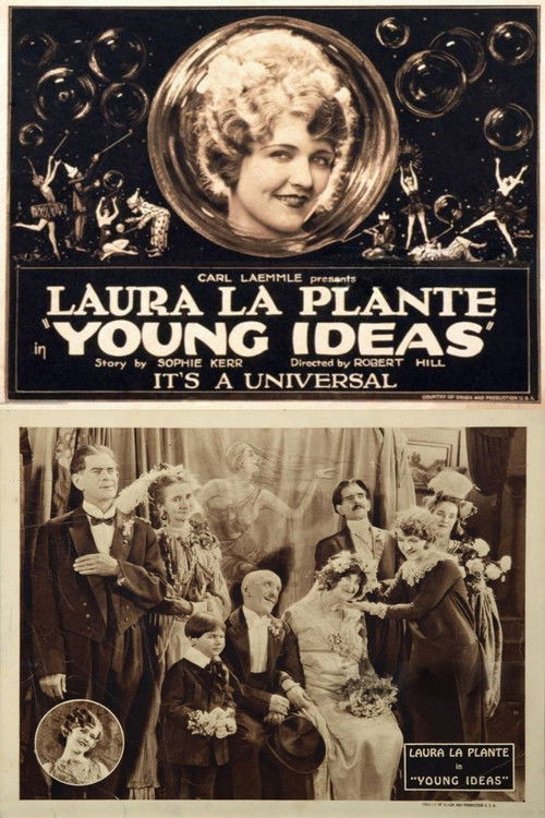 Young Ideas (1924) poster