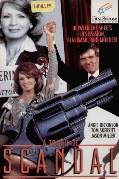 A Touch of Scandal (1984) poster