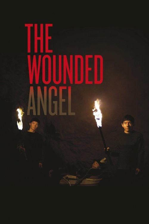 The Wounded Angel (2016) poster