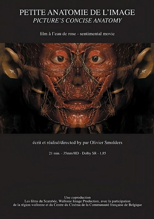 Petite anatomie de l'image poster