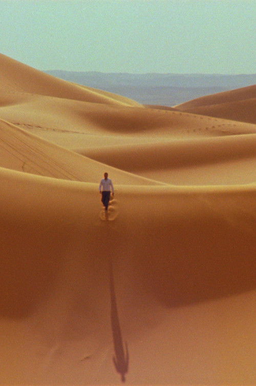 The Swell (2023) poster