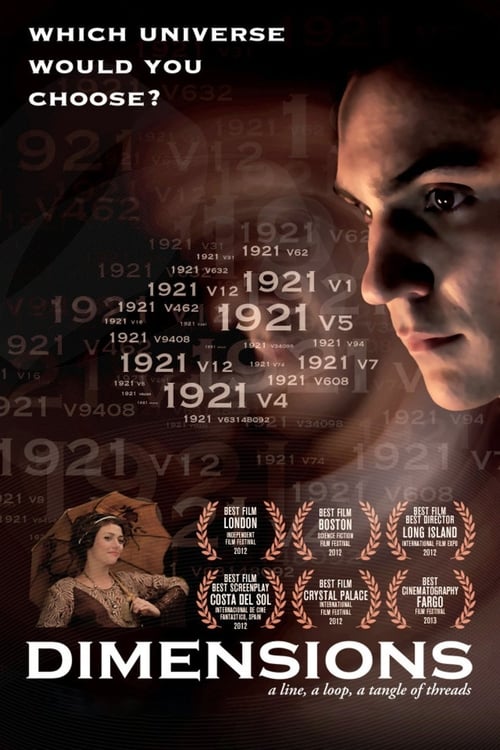 Dimensions (2011) poster