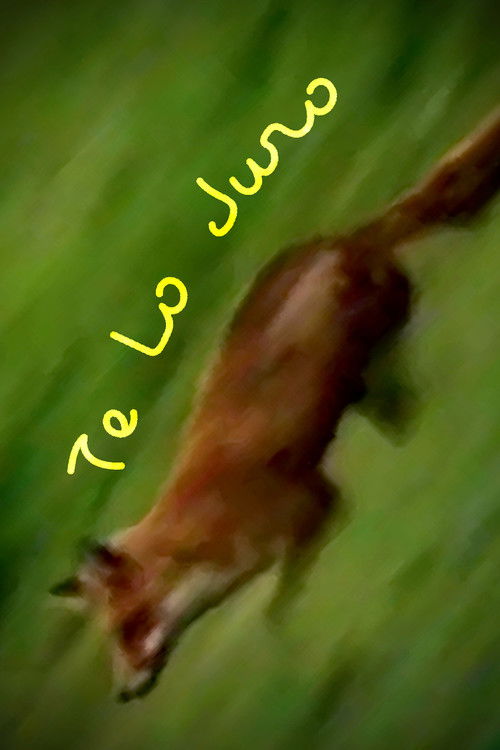 Te Lo Juro (2023) poster