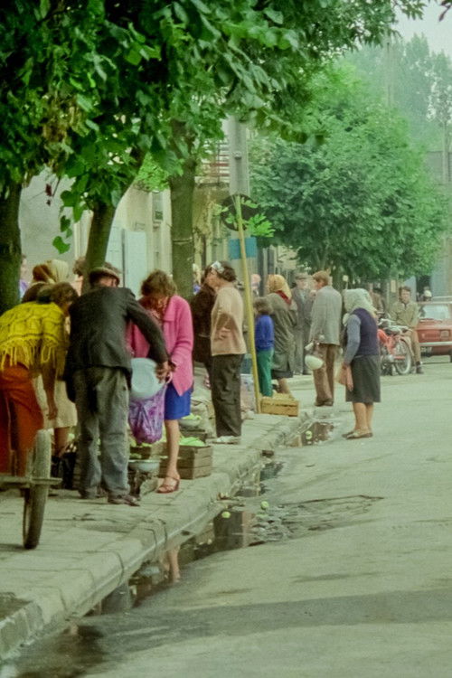 Fortune Favours Łęczna (1978) poster