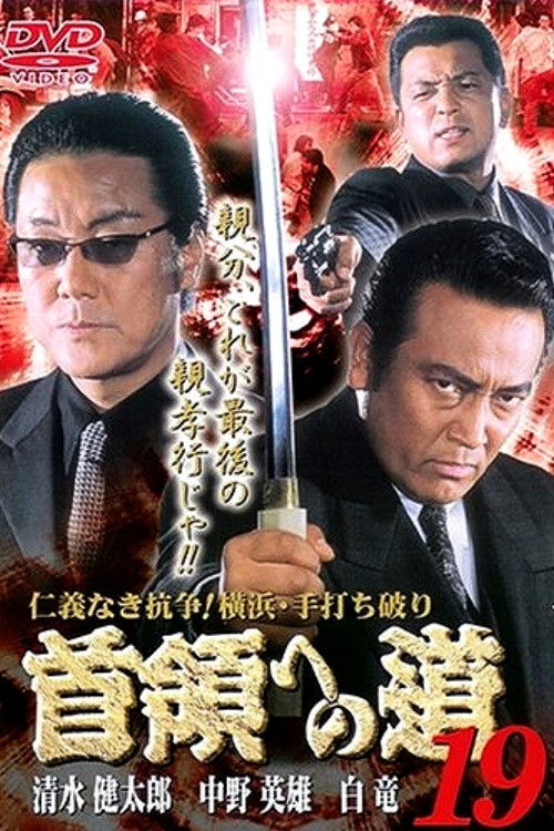 Road to the Don 19 (2001) poster
