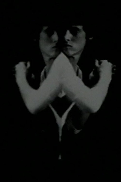 Environmental Symmetry (1978) poster
