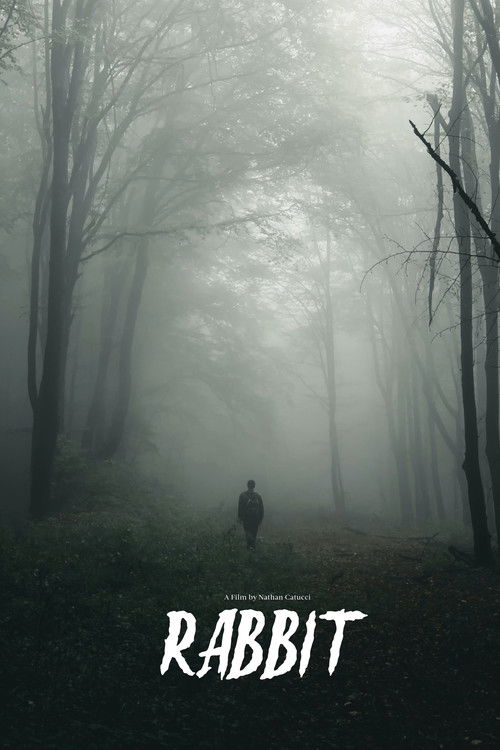 Rabbit (2024) poster