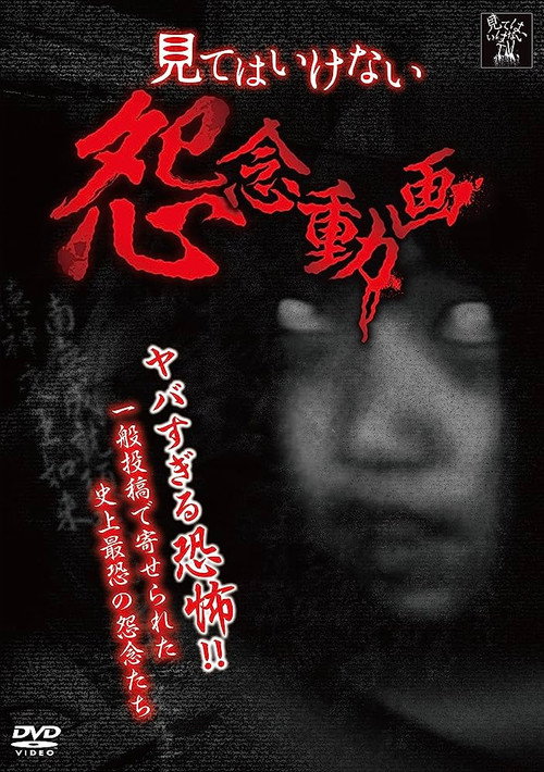 A Grudge Video That You Shouldn't Watch (2013) poster