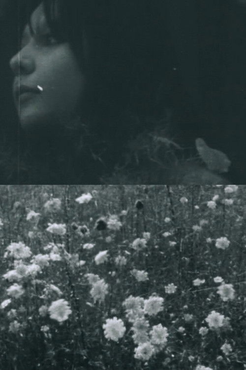 C - La casa del fuoco (1969) poster