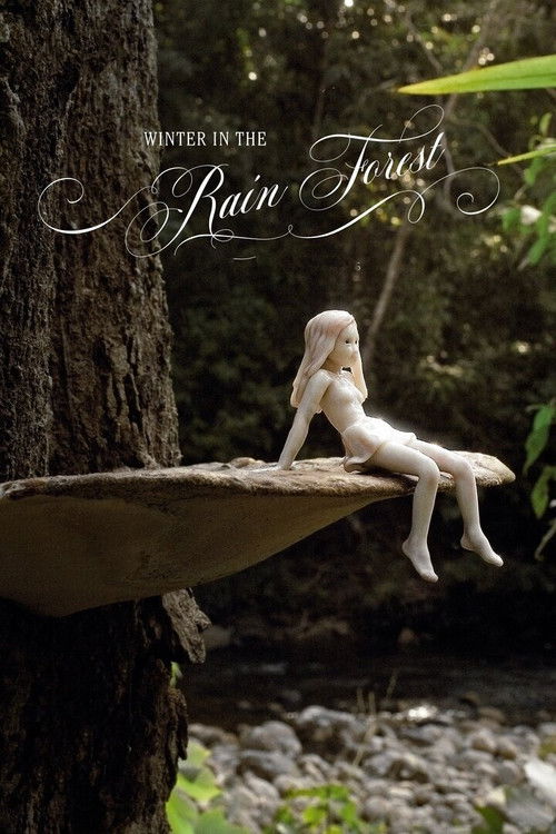 Winter In The Rainforest (2019) poster