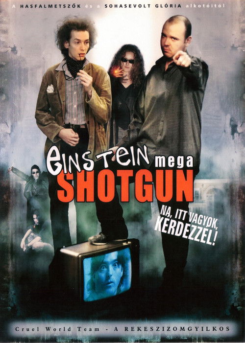 Einstein Mega Shotgun (2003) poster