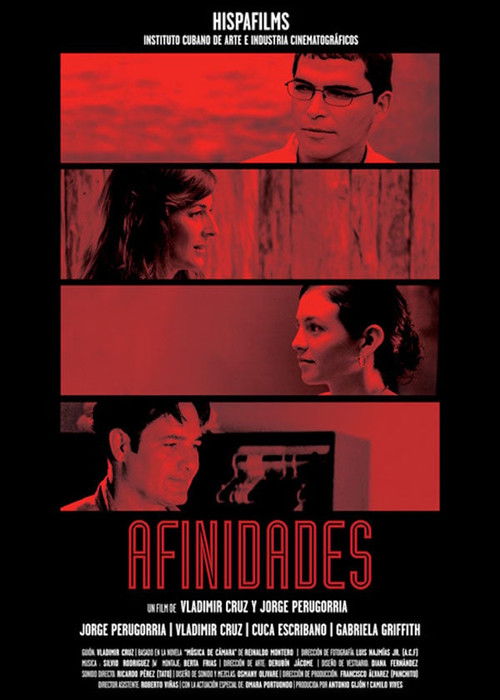 Afinidades (2011) poster