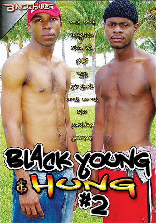 Black Young & Hung 2 (2011) poster