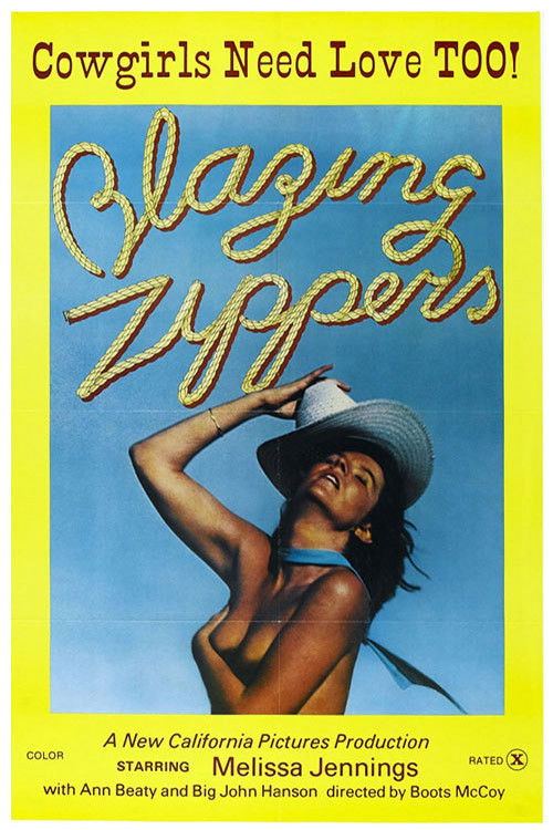 Blazing Zippers (1976) poster