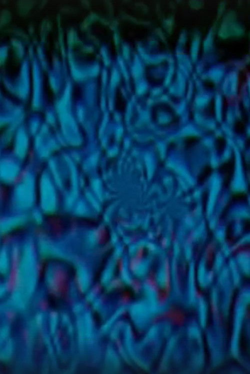 Mad Mesh (1968) poster