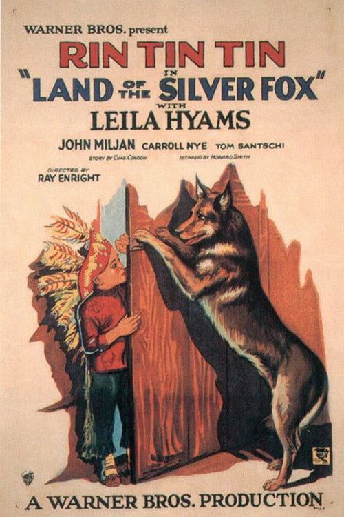 Land of the Silver Fox (1928) poster