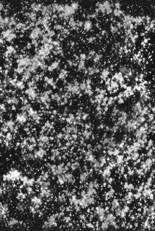 Keep That Dream Burning (2017) poster