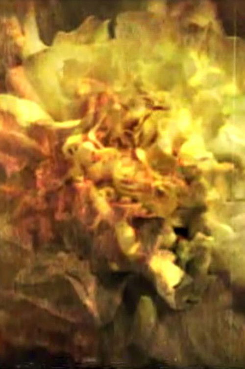 And the Sun Flowers (2008) poster