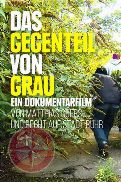 Das Gegenteil von Grau (2017) poster