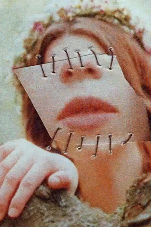 Lost Pieces of Her (2024) poster