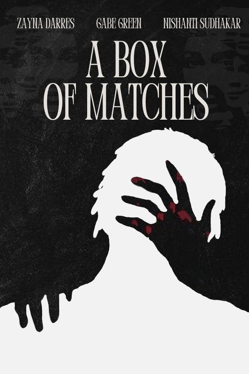 A Box of Matches (2024) poster