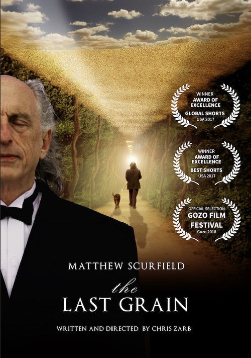 The Last Grain (2017) poster