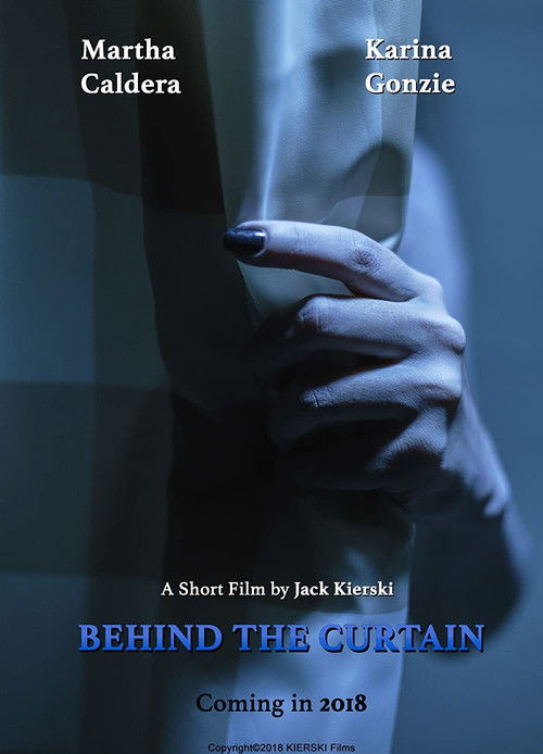 Behind the Curtain (2018) poster