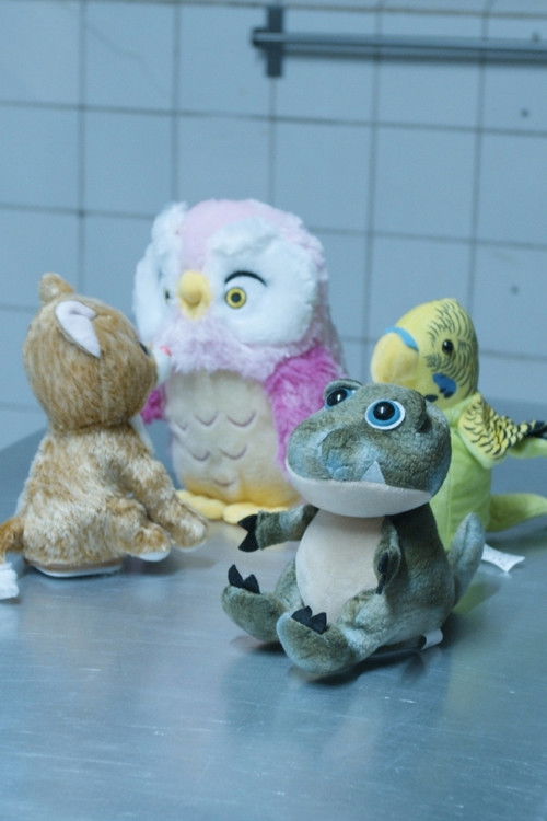 If There is Love, You Will Take It (2020) poster